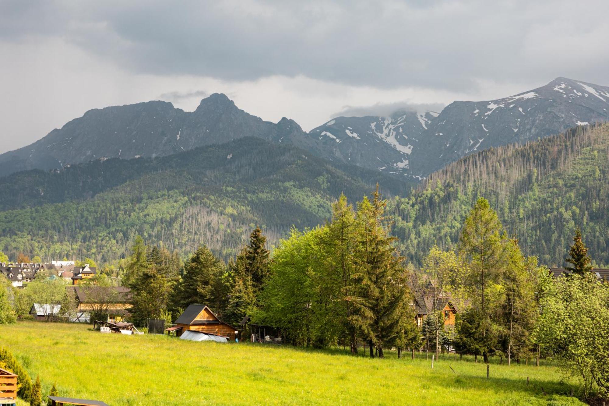 Szlak